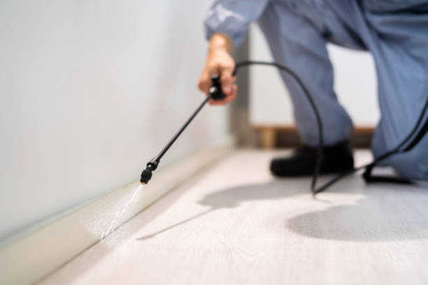 Bed Bug Pre-Treatment Preparation Assessment in Pequot Lakes