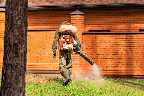 Bed Bug Clearance Verification and Documentation in Pequot Lakes